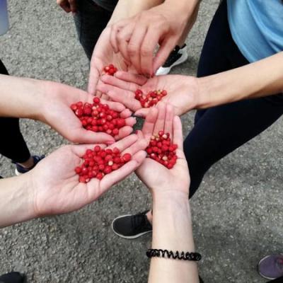 Teambuilding - При Дядо Митко е най-весело! 3